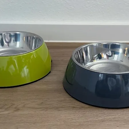 Apartamento Family & Friends In Schwerin (Mecklenburg-Vorpommern)